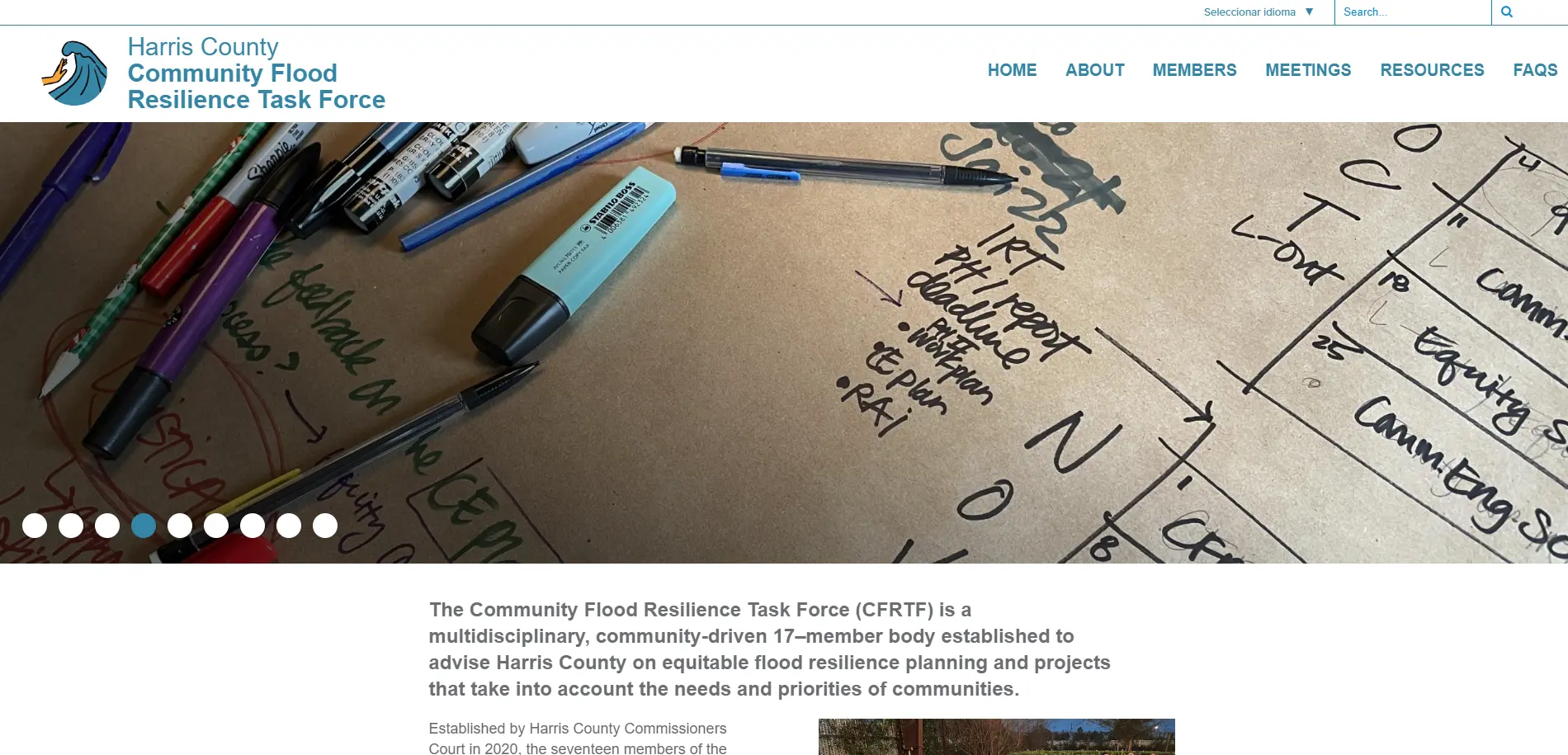 Recién llegado vs 5 años en Nueva Zelanda